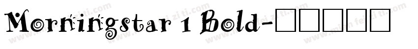 Morningstar 1 Bold字体转换